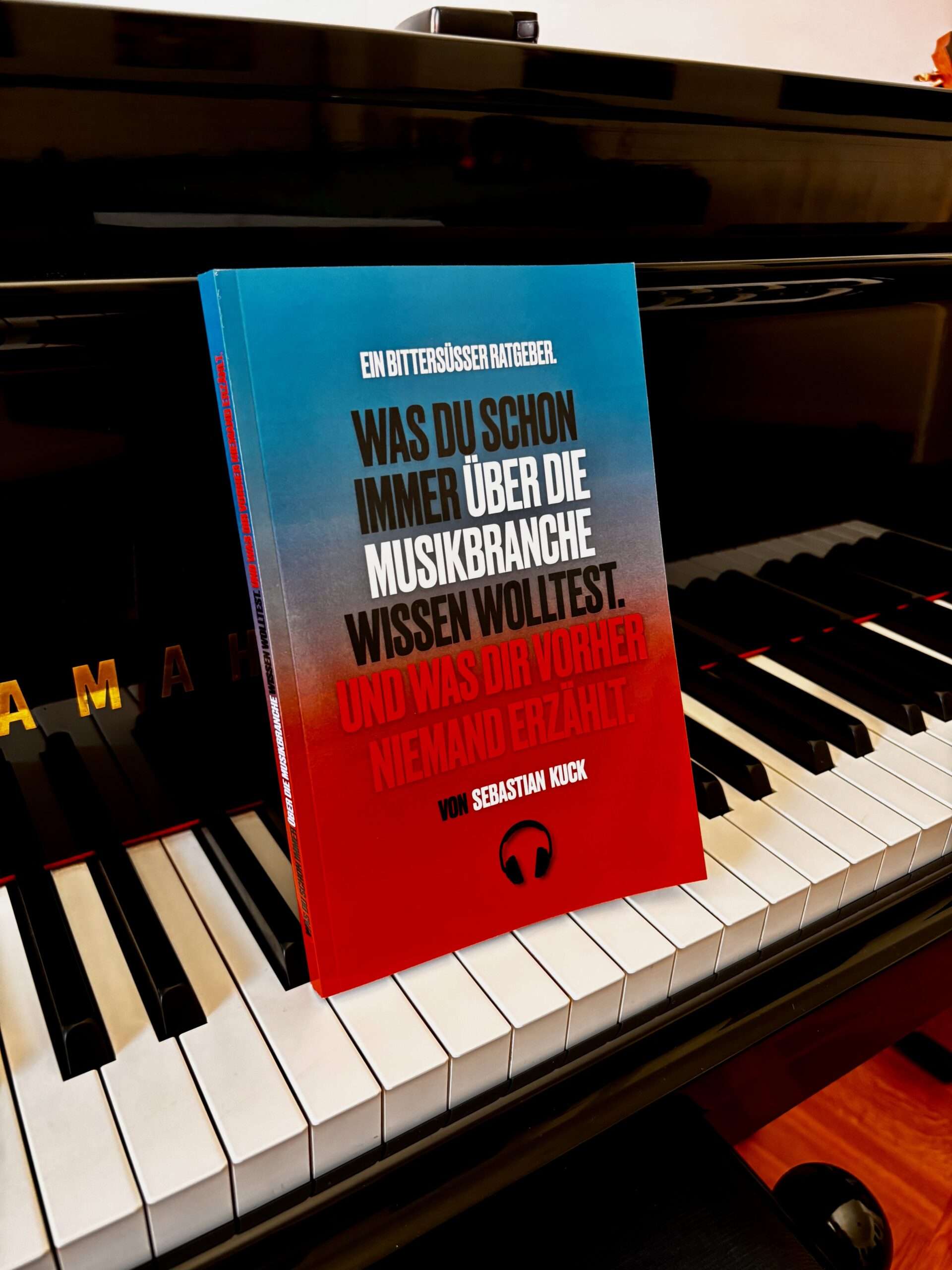 Was du schon immer über die Musikbranche wissen wolltest